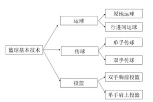  如何利用数据驱动的训练方法提升篮球前景：全面指南与策略分析